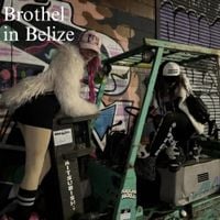 Brothel In Belize - emulator