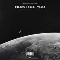 Nicky Romero - Now I See You