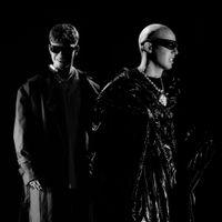 Asster - KARATY