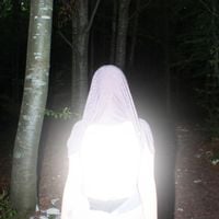 GOMMA - SACROSANTO