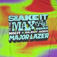 Major Lazer - Shake It To The Max (FLY)