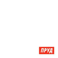 Пруд - Синглы