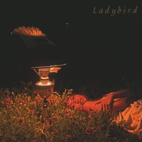 Orca - Ladybird