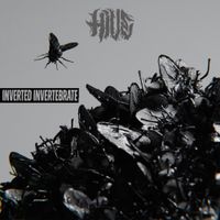 Hive - Inverted Invertebrate
