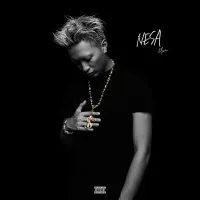 艾志恆 [Asen] - NESA