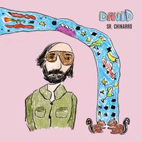 Sr. Chinarro - David