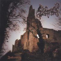 Slechtvalk - Falconry