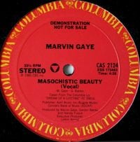 Marvin Gaye - Masochistic Beauty