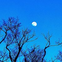 PERP - Moon Ghosts