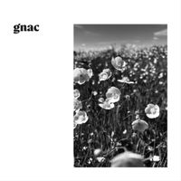 GNAC - Elegant Contact