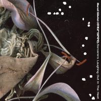 Marcel Gidote's Holy Crab - Sorcerers Laughing Out In The Heat