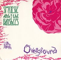 Siouxsie and the Banshees - Overground