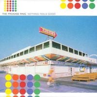 The Promise Ring - Nothing Feels Good