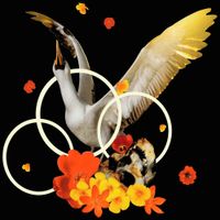 Ma Baker - Cherry Feather Song