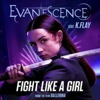 Evanescence - Fight Like A Girl