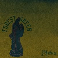 Navy Blue - Forest Green