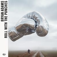 Bryan Adams - Roll With The Punches
