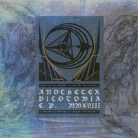 Anochecer - Dicotom&iacute;a
