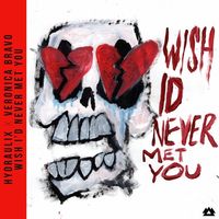 Hydraulix - Wish I'd Never Met You