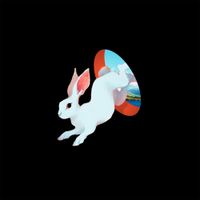 Ganser - Animal Hospital