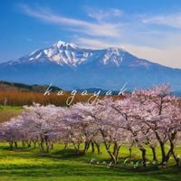 Kenji Fujiwara - Kagayaki