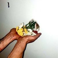 dianacrawls - Both Indistinct