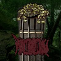 Phyllomedusa - Your Lesson In Frog Noise