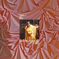 Cate Le Bon - Heaven Is No Feeling