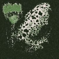 Phyllomedusa - People Are Nothing But Expendable Defilement