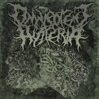 Omnipotent Hysteria - 2015 Promo