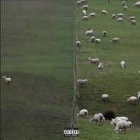 Maximi!ian - Counting Sheep, Vol. 1