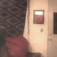 i chased a crow - void II