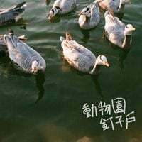 动物园钉子户 [Zoo Gazer] - 動物園釘子戶