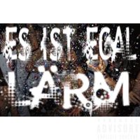 shosharascal - es ist egal / l&auml;rm