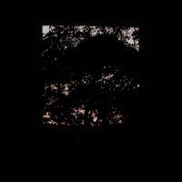e4444e - Soft Sighing Dusk I Never See You