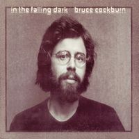 Bruce Cockburn - In the Falling Dark