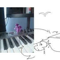 Vylet Pony - dove.not to be