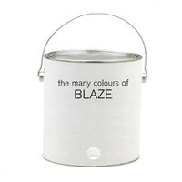 Blaze - The Many Colours Of Blaze