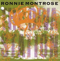 Ronnie Montrose - The Diva Station