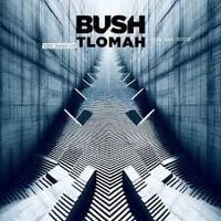 Bush - The Land of Milk and Honey