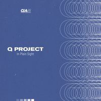 Q Project - In Plain Sight