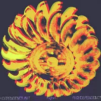 High Dependency Unit - Higher