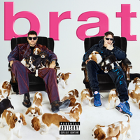 Pil C - brat