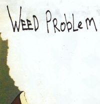 Weed Problem - Weed Problem