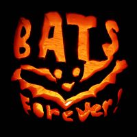 Dogs Forever - Bats Forever!