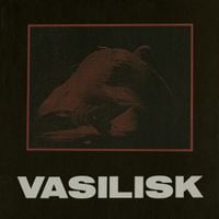 Vasilisk - Whirling Dervishes