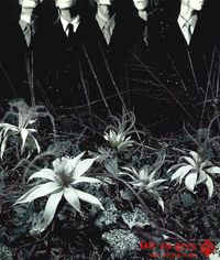 DIR EN GREY - ain't afraid to die
