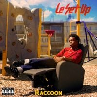 Raccoon - Le set up
