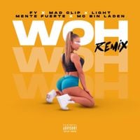 Light - WOH - Remix