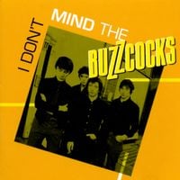 Buzzcocks - I Dont Mind The Buzzcocks